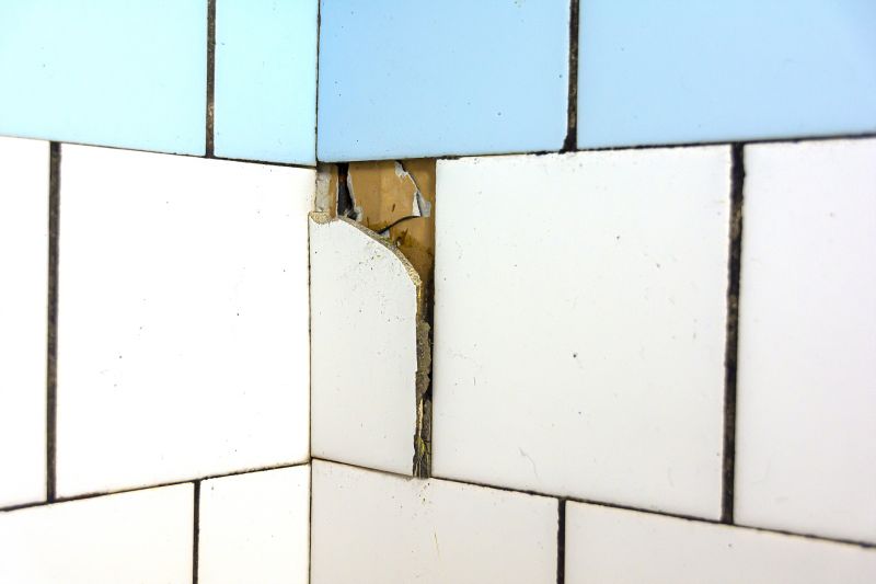 Broken Tile Repair